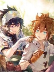 猫咪官方社区app官网